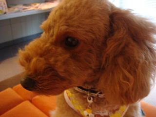 2009.9.2 イベント不足_a0083571_16294570.jpg
