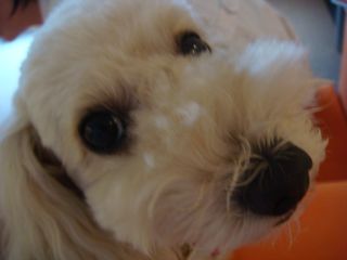 2009.9.2 イベント不足_a0083571_16451883.jpg