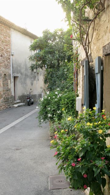 自然の一部のようなプロバンスの家 リュベロン地方ー南フランス フランスと日本の衣食住