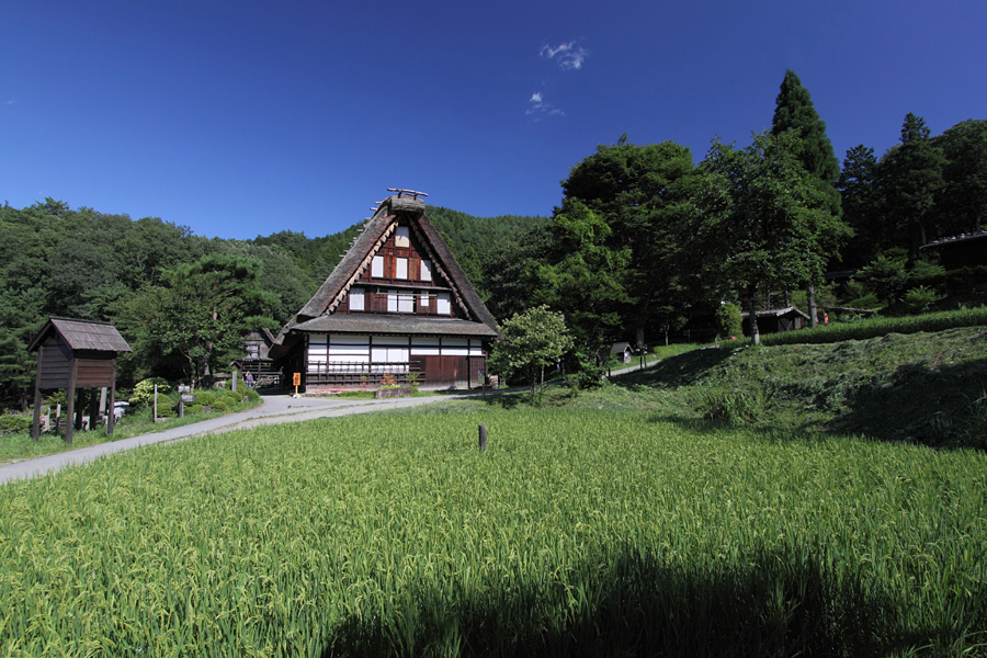 09.08.22：開田高原のコスモス、そば畑、その後は飛騨高山５_c0007190_19483684.jpg