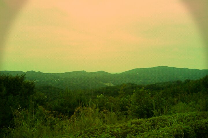 b0005295_2225852.jpg