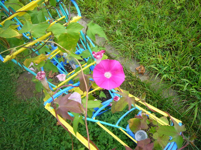 d0015096_13241162.jpg