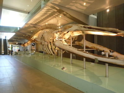 a0127398_3204663.jpg