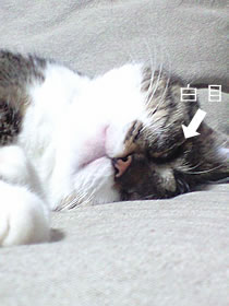 c0035001_1544176.jpg