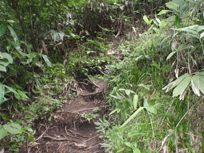 b0116703_8193254.jpg