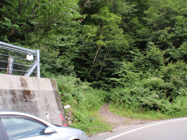 b0116703_819435.jpg