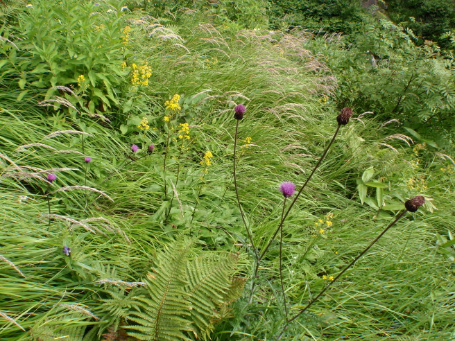 b0116703_821228.jpg