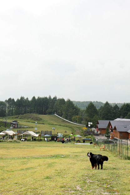 軽井沢＆草津紀行　ダイジェスト_f0137508_12103143.jpg