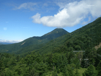 夏休み後半_e0044609_13202616.gif