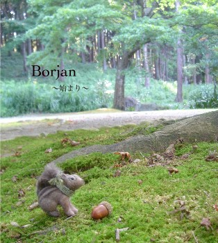 展示のお知らせ　「Borjan」　_c0098813_12511422.jpg