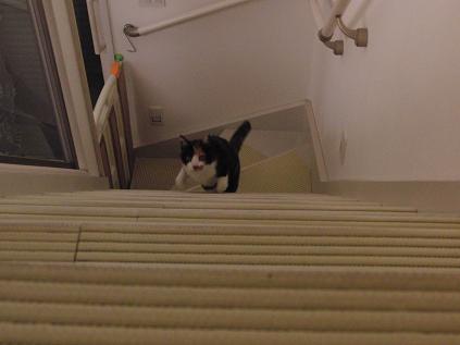 c0201113_22441710.jpg