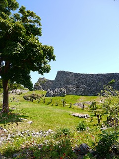 沖縄旅行(8)_a0101716_9535925.jpg