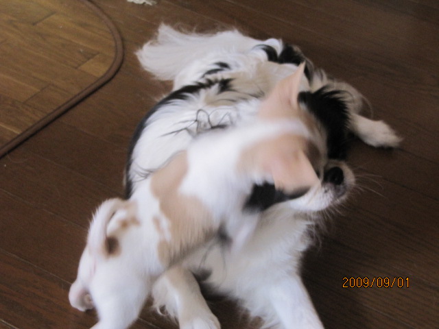 c0200916_013999.jpg