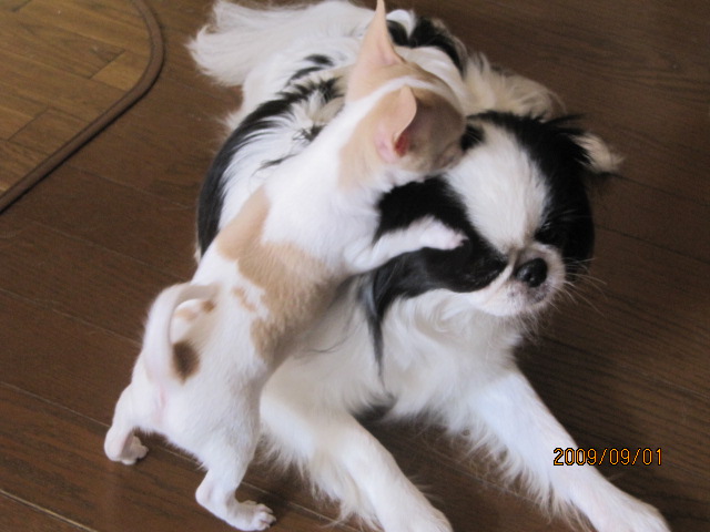 c0200916_022820.jpg