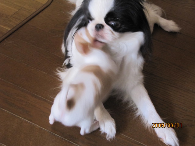 c0200916_032197.jpg