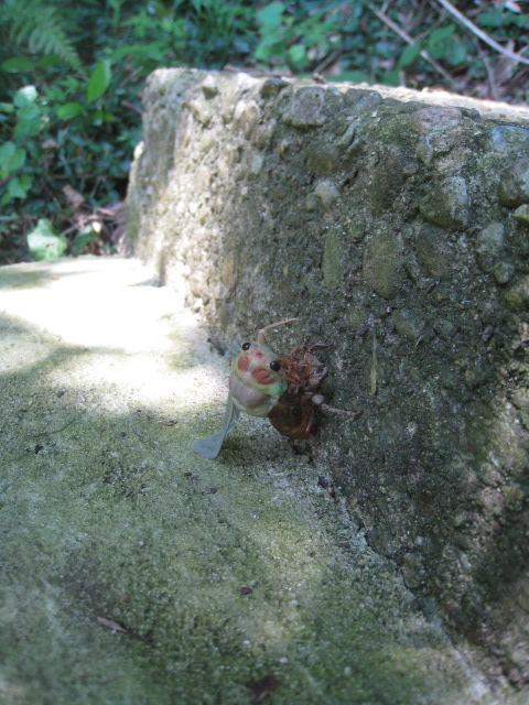 c0120817_2573845.jpg