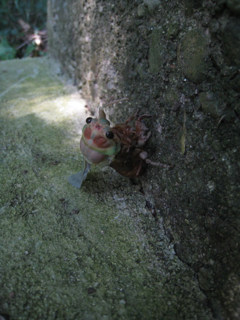 c0120817_25921.jpg