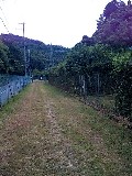 e0110119_176389.jpg