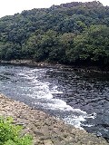 e0110119_1772116.jpg