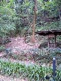 e0110119_1782492.jpg