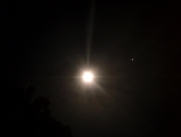十三夜_a0043520_2226210.jpg