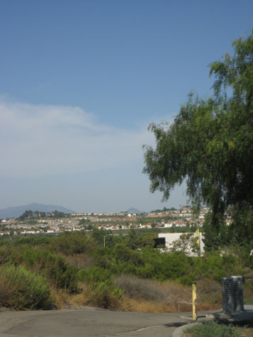 e0185225_6444936.jpg