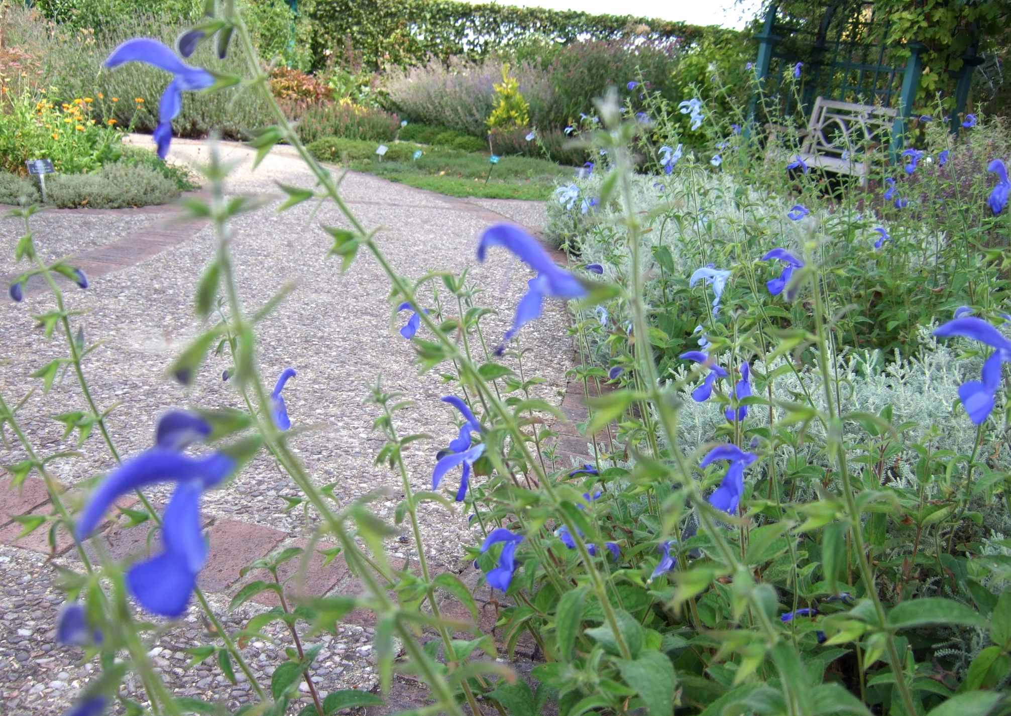 c0120526_2043380.jpg