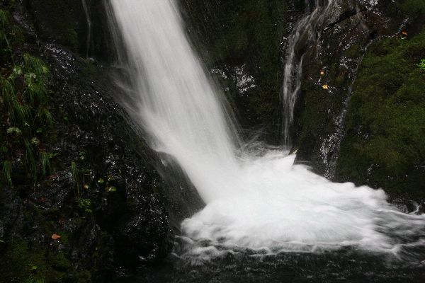 c0104227_93429.jpg