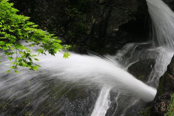 c0104227_973868.jpg