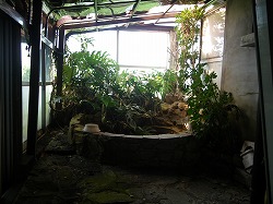 d0086228_13272286.jpg