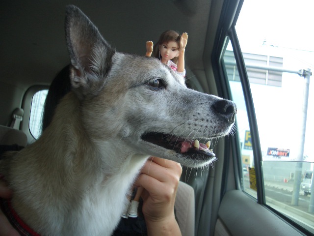 b0113231_064150.jpg