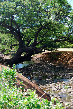 f0162440_10483654.jpg