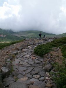 d0041541_95087.jpg