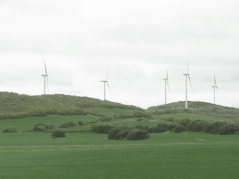 e0034141_14391116.gif