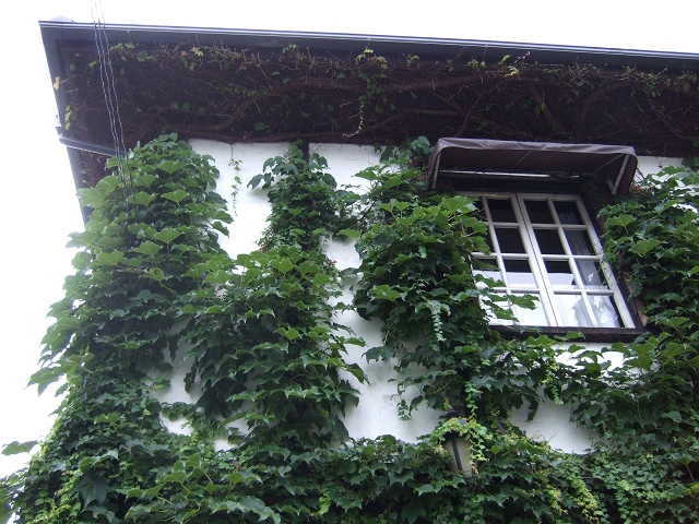 f0029441_105358.jpg