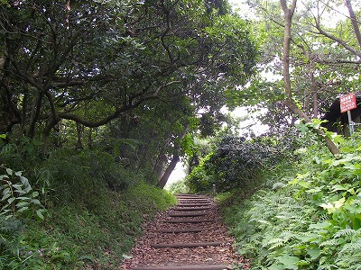 a0137242_1414934.jpg