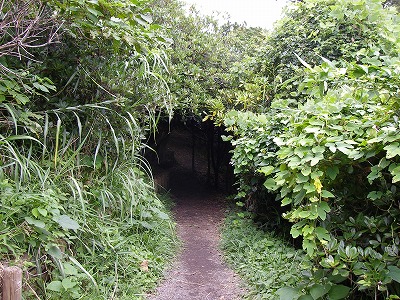 a0137242_1442681.jpg