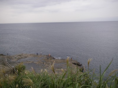 a0137242_1472473.jpg