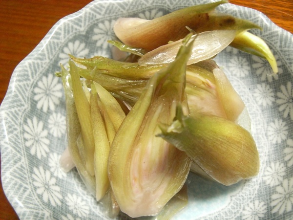 田舎からの贈り物_b0182143_2144572.jpg