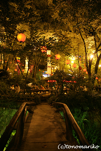 c0024345_1622575.jpg
