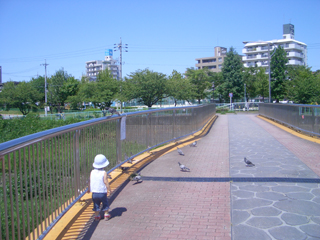 e0038355_23145496.jpg
