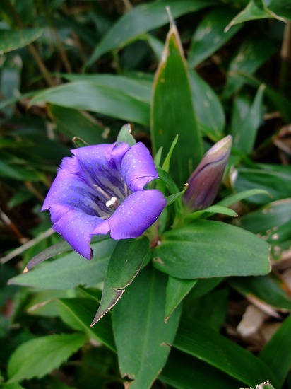 f0205857_1521637.jpg