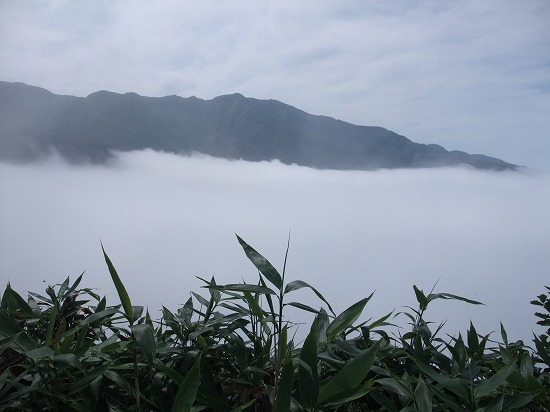 f0205857_15222759.jpg