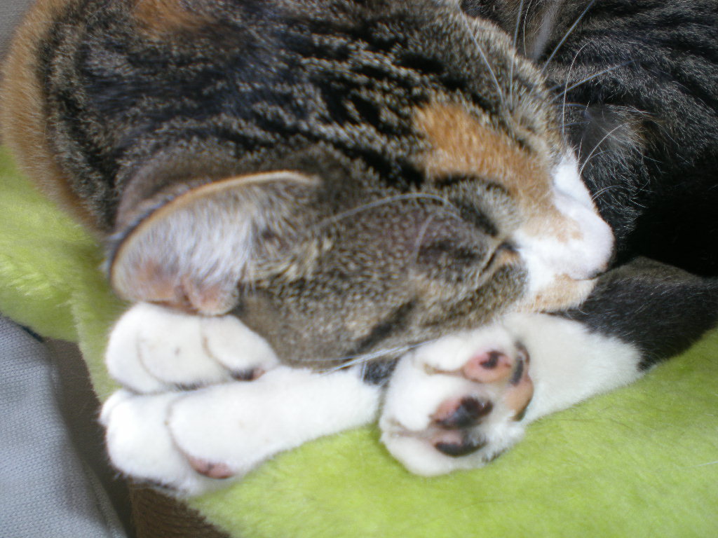 2009年9月3日(木)愛ちゃんの受難の日再び!_f0060461_2056573.jpg