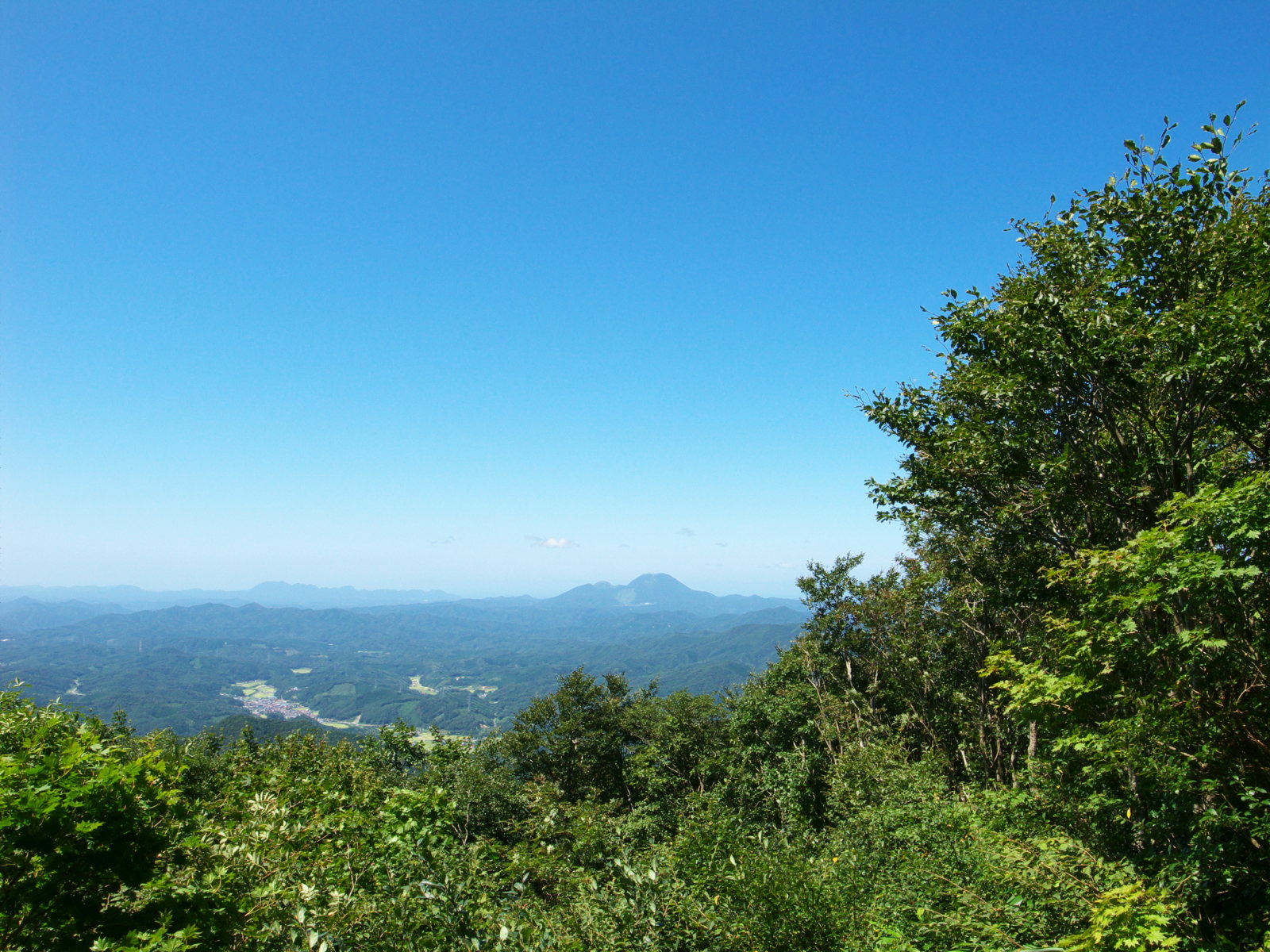 大万木山の花々など_e0015567_18345897.jpg