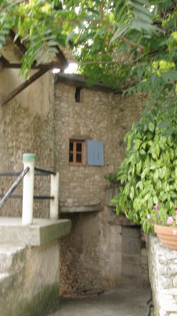 f0119071_5164966.jpg