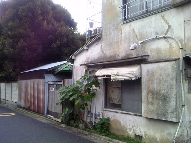 a0081172_8163869.jpg