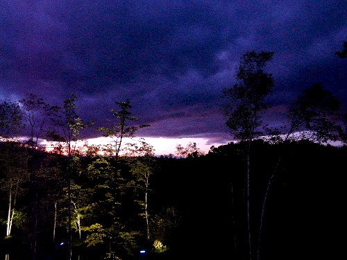 d0084473_201084.jpg