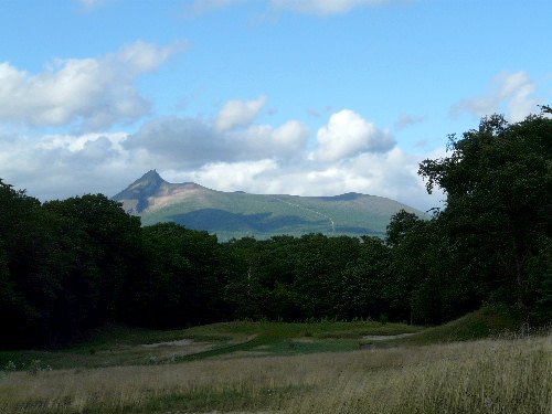 d0084473_2091771.jpg