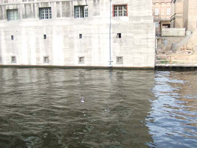 d0084677_4414118.jpg